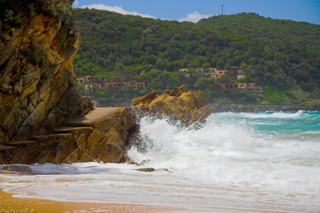 Elba-013-273030502